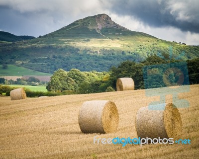 Summer Harvest-north Yorkshire-uk Stock Photo