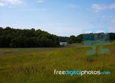 Summer Landscape Stock Photo