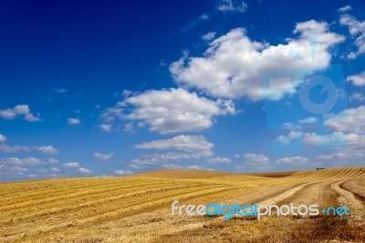 Summer Landscape Stock Photo