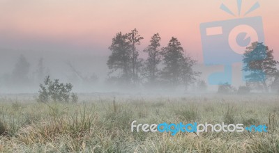 Summer Misty Morning Stock Photo