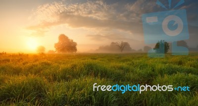 Summer Misty Morning Stock Photo