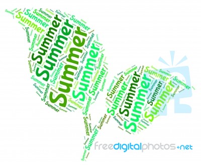 Summer Word Represents Hot Weather And Heat Stock Image