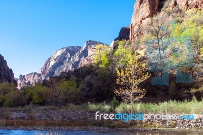 Sun And Shadow In Zion Stock Photo