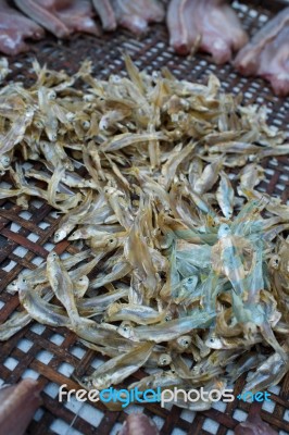 Sun Dried Fish In The Market Stock Photo