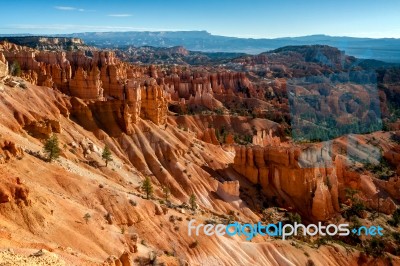 Sun Kissed Hoodoos And Pine Trees In Bryce Canyon Stock Photo