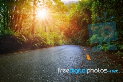 Sun Light In Moisture Mountain Rain Forest Perspective Asphalt Road Stock Photo