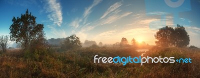 Sun Rising Over Meadow In Misty Autumn Morning Stock Photo