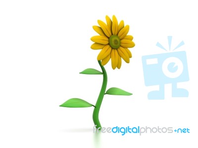 Sunflower Stock Image