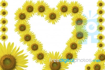 Sunflower Frame_set2 Stock Photo