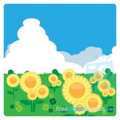 Sunflower Meadow In The Sunny Day Stock Image