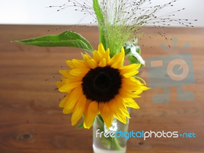 Sunflower On Wooden Table Stock Photo