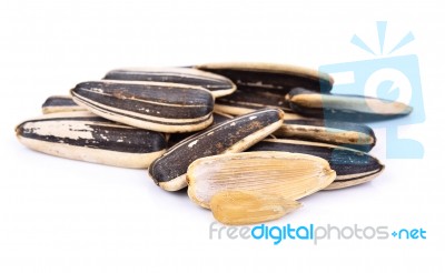 Sunflower Seed On White Background Stock Photo