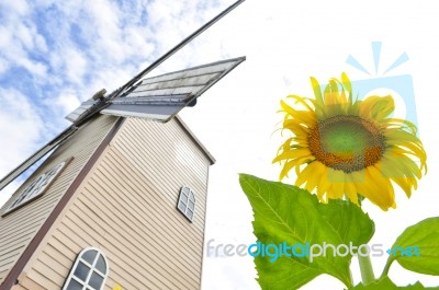 Sunflower With Wind Turbine Stock Photo