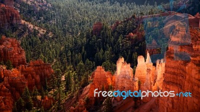 Sunlit Hoodoos In Bryce Canyon Stock Photo