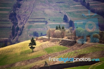 Sunny Spring In Mountain Village. Fields And Hills Stock Photo