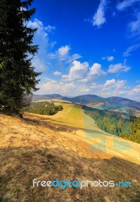 Sunny Spring In Mountains. Fields And Hills Stock Photo