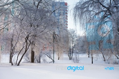 Sunny Winter City. Snow-covered Urban Scene Stock Photo