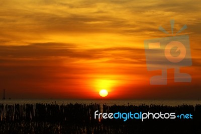 Sunrise Stock Photo