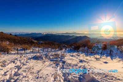 Sunrise At Deogyusan Mountains In Winter,south Korea Stock Photo