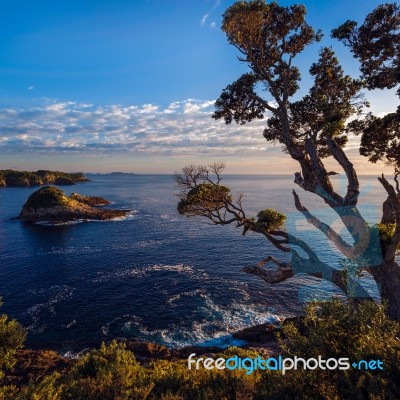 Sunrise At Te Pare Point Stock Photo