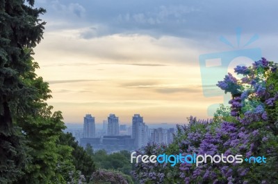 Sunrise In Kiev Botanical Garden Stock Photo