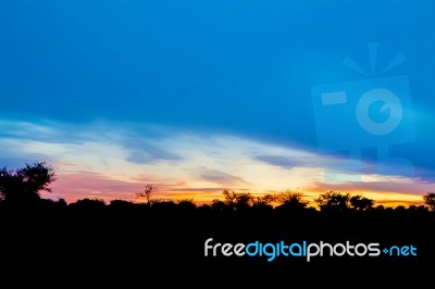 Sunrise Landscape In Zambia Stock Photo