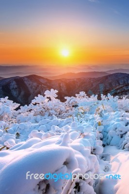 Sunrise On Deogyusan Mountains Covered With Snow In Winter,south Korea Stock Photo