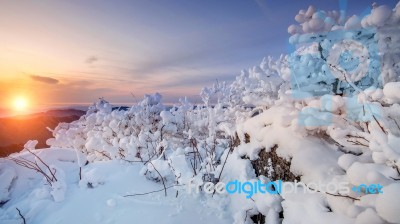 Sunrise On Deogyusan Mountains Covered With Snow In Winter,south Korea Stock Photo