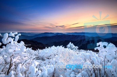 Sunrise On Deogyusan Mountains Covered With Snow In Winter,south Korea Stock Photo