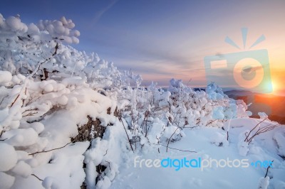 Sunrise On Deogyusan Mountains Covered With Snow In Winter,south Korea Stock Photo