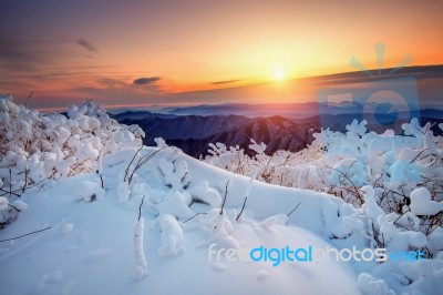 Sunrise On Deogyusan Mountains Covered With Snow In Winter,south Korea Stock Photo