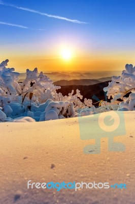 Sunrise On Deogyusan Mountains Covered With Snow In Winter,south Korea Stock Photo