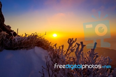 Sunrise On Deogyusan Mountains Covered With Snow In Winter,south Korea Stock Photo