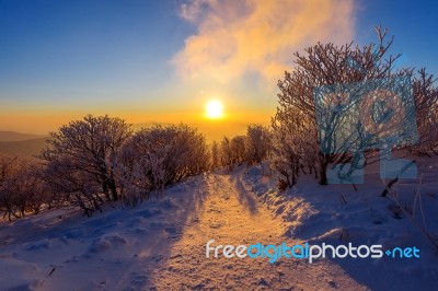 Sunrise On Deogyusan Mountains Covered With Snow In Winter,south Korea Stock Photo