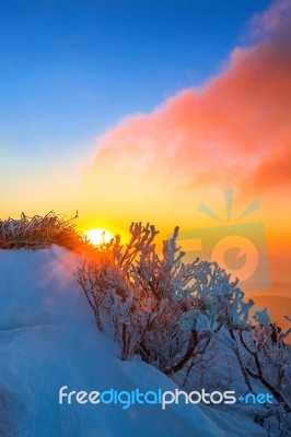 Sunrise On Deogyusan Mountains Covered With Snow In Winter,south Korea Stock Photo