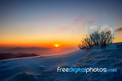 Sunrise On Deogyusan Mountains Covered With Snow In Winter,south Korea Stock Photo