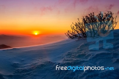 Sunrise On Deogyusan Mountains Covered With Snow In Winter,south Korea Stock Photo