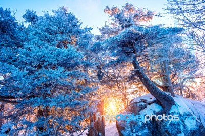 Sunrise On Deogyusan Mountains Covered With Snow In Winter,south Korea Stock Photo