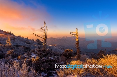 Sunrise On Deogyusan Mountains Covered With Snow In Winter,south Korea Stock Photo