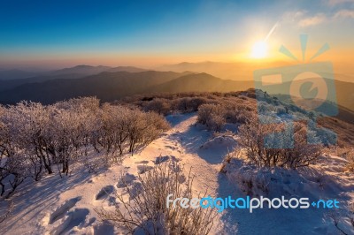 Sunrise On Deogyusan Mountains Covered With Snow In Winter,south Korea Stock Photo