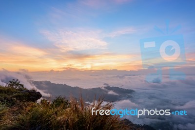 Sunrise On Phu Chi Fa Forest Park, Thailand Stock Photo