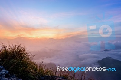 Sunrise On Phu Chi Fa Forest Park, Thailand Stock Photo