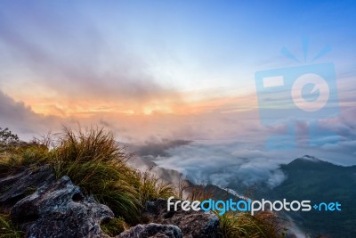 Sunrise On Phu Chi Fa Forest Park, Thailand Stock Photo