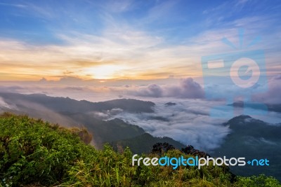 Sunrise On Phu Chi Fa Forest Park, Thailand Stock Photo