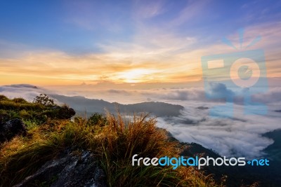 Sunrise On Phu Chi Fa Forest Park, Thailand Stock Photo