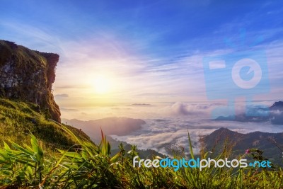 Sunrise On Phu Chi Fa Forest Park, Thailand Stock Photo