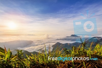 Sunrise On The Clouds In Thailand Stock Photo