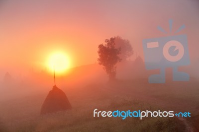 Sunrise Over Mountain Field. Haystacks In Misty Autumn Morning H… Stock Photo