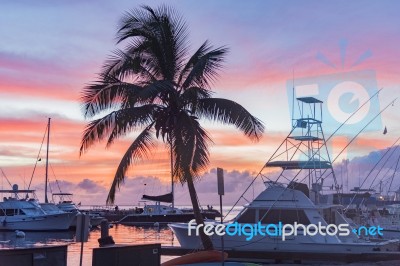 Sunrise Over Tropical Marina Stock Photo