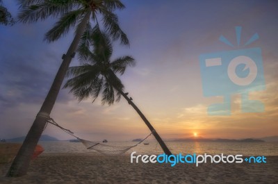 Sunrise With Coconut Palm Trees And Hammock On Tropical Beach Background Stock Photo